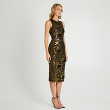 Load image into Gallery viewer, ALEX