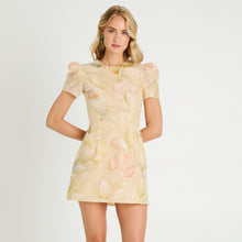 Load image into Gallery viewer, COCO