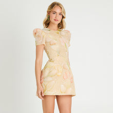 Load image into Gallery viewer, COCO