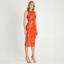 Load image into Gallery viewer, ALEX