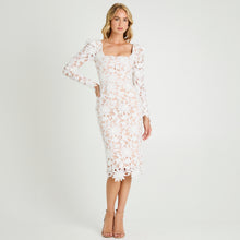 Load image into Gallery viewer, OLGA