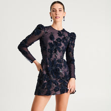 Load image into Gallery viewer, INES