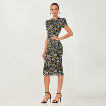 Charger l'image dans la galerie, PIPER