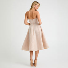 Load image into Gallery viewer, VIVI